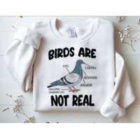 Birds Are Not Real Diagram Sweatshirt