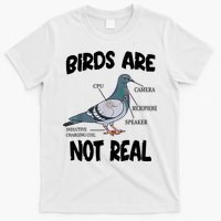 Birds Are Not Real Diagram T-Shirt