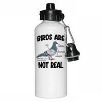 Birds Are Not Real Diagram Aluminum Water Bottle