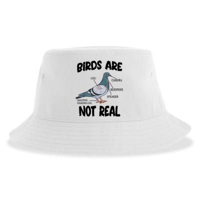 Birds Are Not Real Diagram Sustainable Bucket Hat