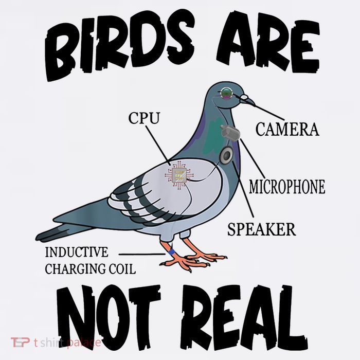Birds Are Not Real Diagram Button