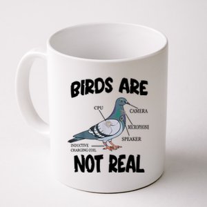 Birds Are Not Real Diagram Coffee Mug