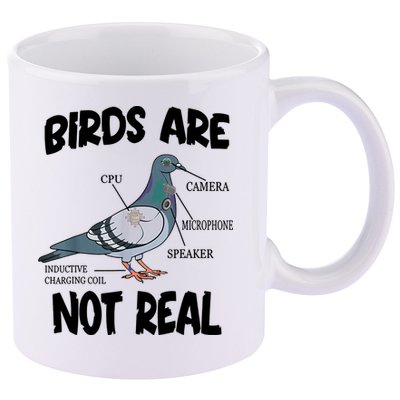 Birds Are Not Real Diagram 11oz C Handle Ceramic Mug