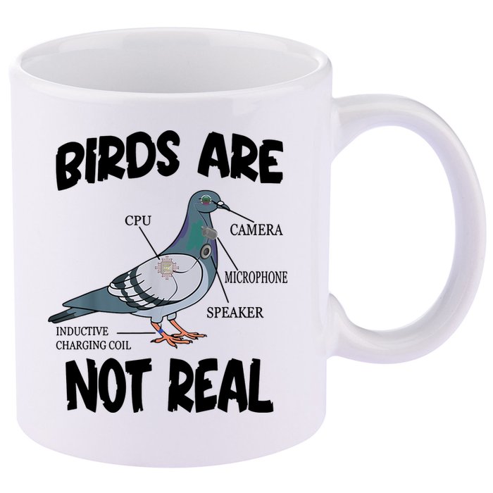 Birds Are Not Real Diagram 11oz C Handle Ceramic Mug