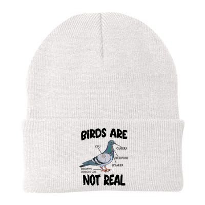 Birds Are Not Real Diagram Beanie