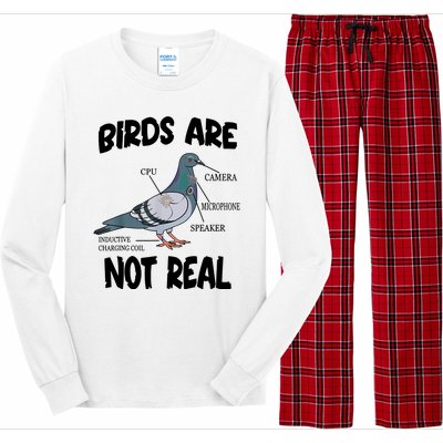 Birds Are Not Real Diagram Long Sleeve Pajama Set