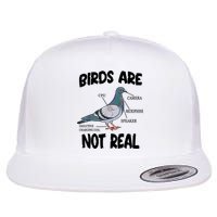 Birds Are Not Real Diagram Flatbill Hat