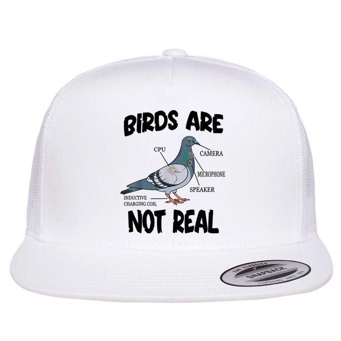 Birds Are Not Real Diagram Flatbill Hat