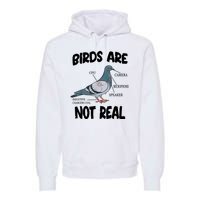 Birds Are Not Real Diagram Premium Hoodie