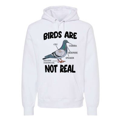 Birds Are Not Real Diagram Premium Hoodie