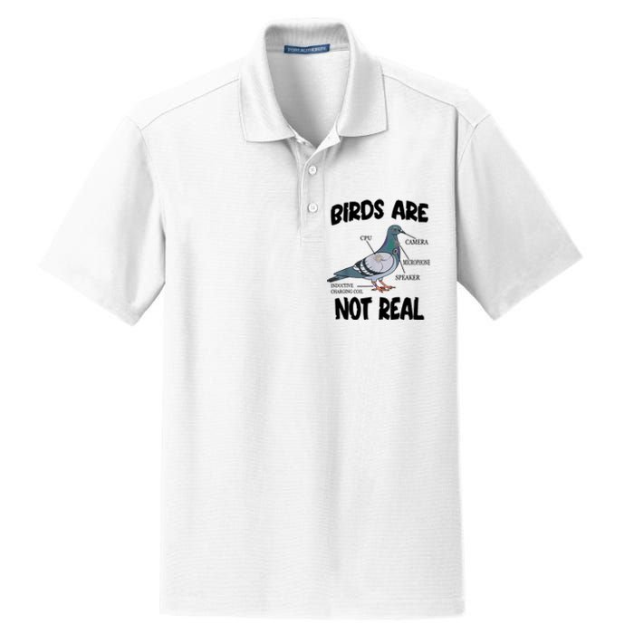 Birds Are Not Real Diagram Dry Zone Grid Polo