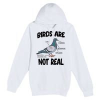 Birds Are Not Real Diagram Premium Pullover Hoodie