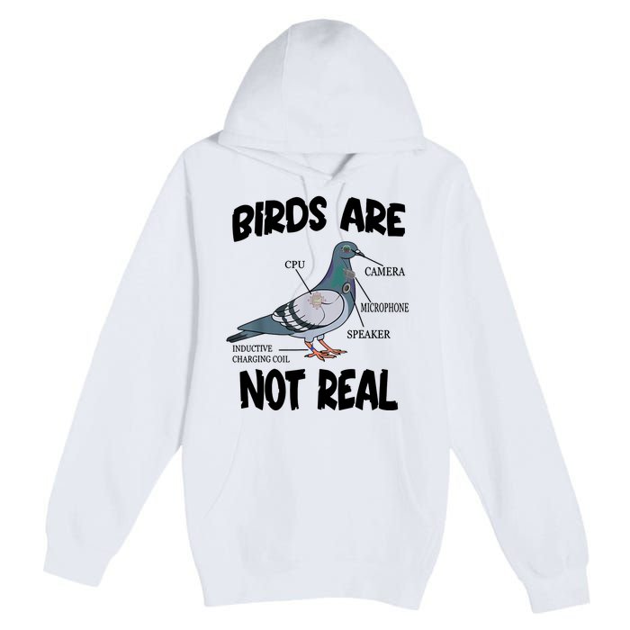 Birds Are Not Real Diagram Premium Pullover Hoodie