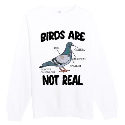 Birds Are Not Real Diagram Premium Crewneck Sweatshirt