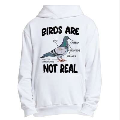 Birds Are Not Real Diagram Urban Pullover Hoodie