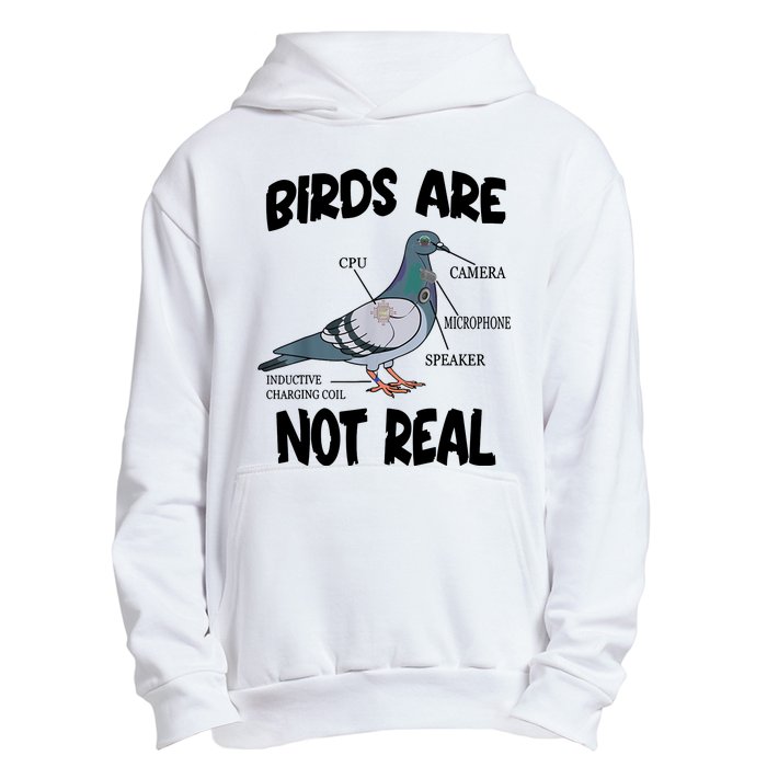 Birds Are Not Real Diagram Urban Pullover Hoodie