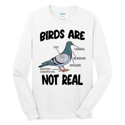 Birds Are Not Real Diagram Tall Long Sleeve T-Shirt