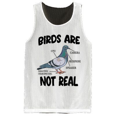Birds Are Not Real Diagram Mesh Reversible Basketball Jersey Tank