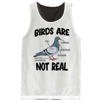 Birds Are Not Real Diagram Mesh Reversible Basketball Jersey Tank