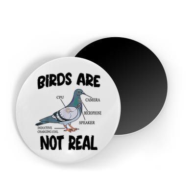 Birds Are Not Real Diagram Magnet