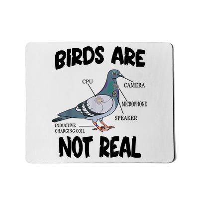 Birds Are Not Real Diagram Mousepad