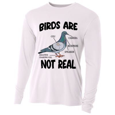 Birds Are Not Real Diagram Cooling Performance Long Sleeve Crew