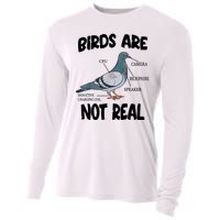 Birds Are Not Real Diagram Cooling Performance Long Sleeve Crew