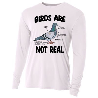 Birds Are Not Real Diagram Cooling Performance Long Sleeve Crew