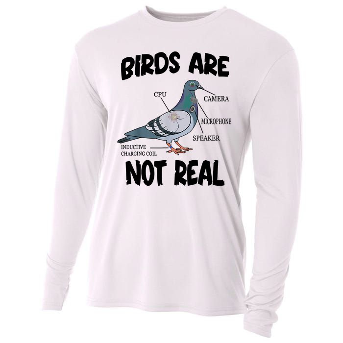 Birds Are Not Real Diagram Cooling Performance Long Sleeve Crew