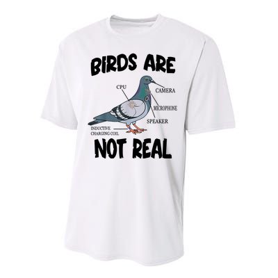 Birds Are Not Real Diagram Performance Sprint T-Shirt