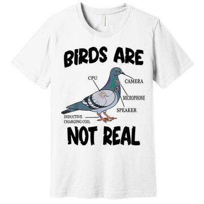 Birds Are Not Real Diagram Premium T-Shirt