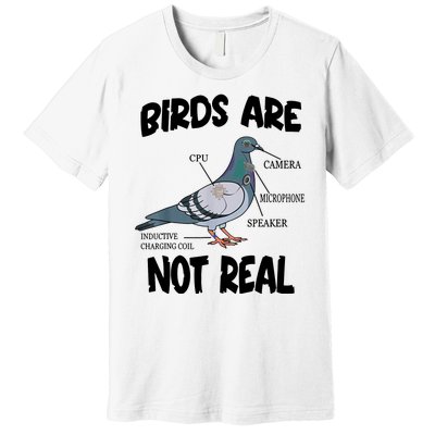 Birds Are Not Real Diagram Premium T-Shirt