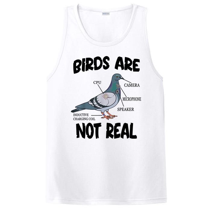 Birds Are Not Real Diagram PosiCharge Competitor Tank