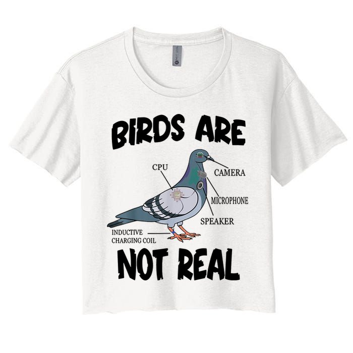 Birds Are Not Real Diagram Crop Top