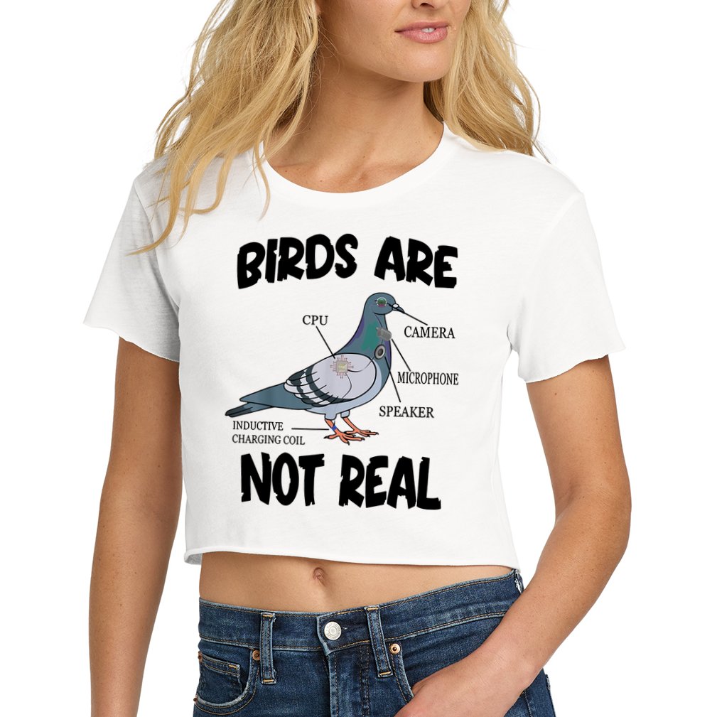 Birds Are Not Real Diagram Crop Top