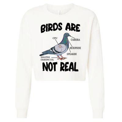 Birds Are Not Real Diagram Cropped Pullover Crew