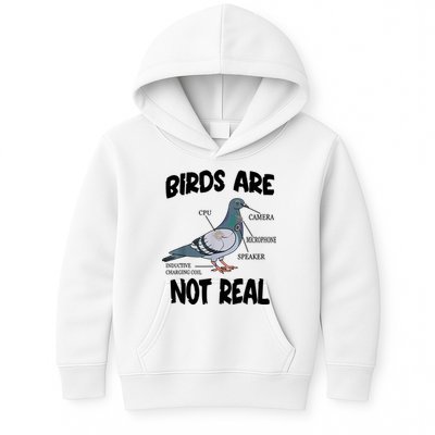 Birds Are Not Real Diagram Kids Hoodie