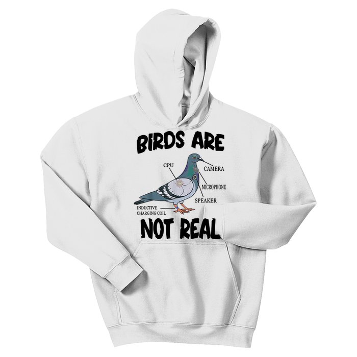 Birds Are Not Real Diagram Kids Hoodie