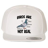 Birds Are Not Real Diagram Wool Snapback Cap