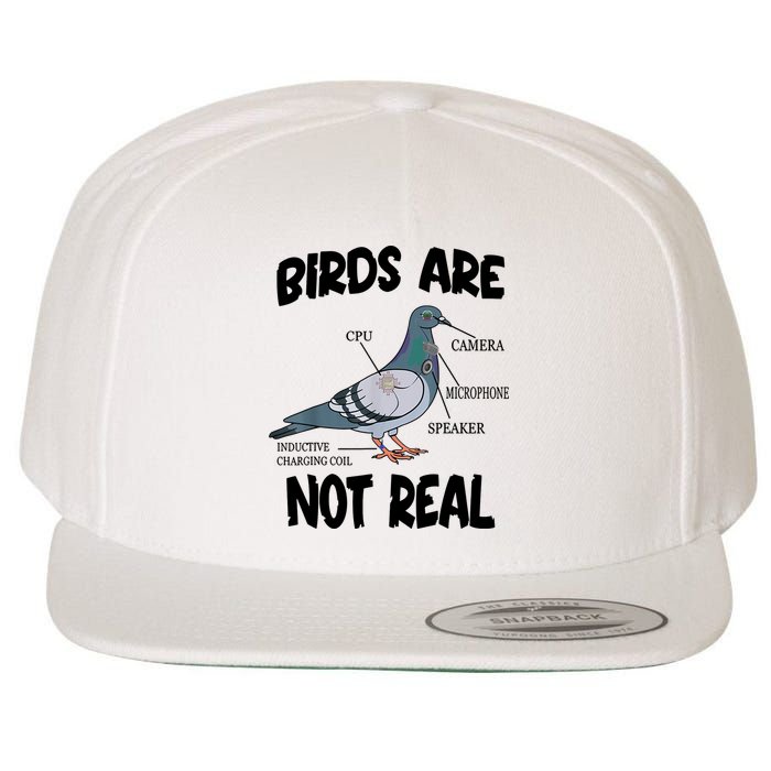 Birds Are Not Real Diagram Wool Snapback Cap