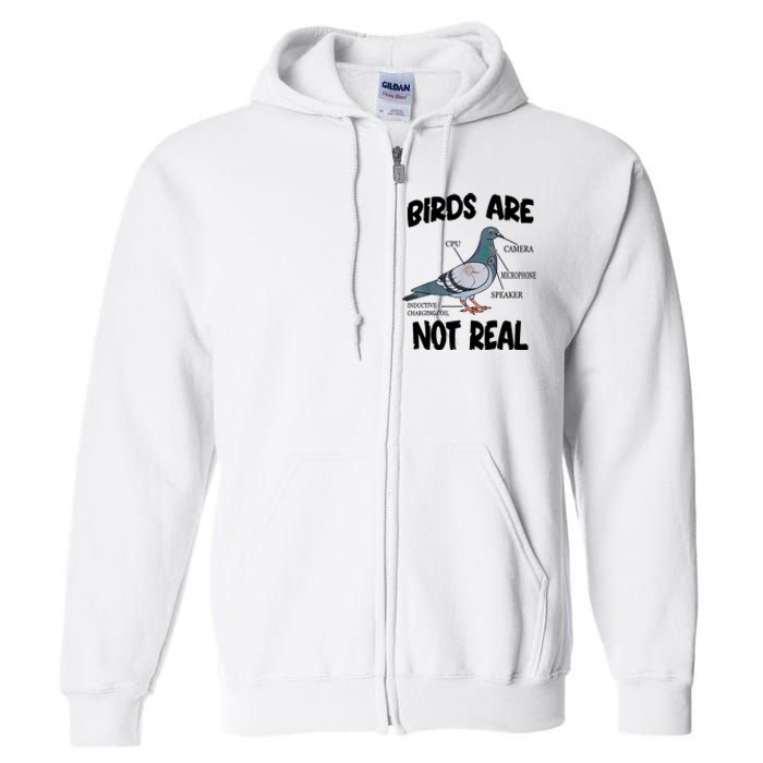 Birds Are Not Real Diagram Full Zip Hoodie