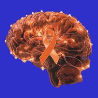 Brain Art Orange Ribbon Multiple Sclerosis Awareness Gift Hoodie