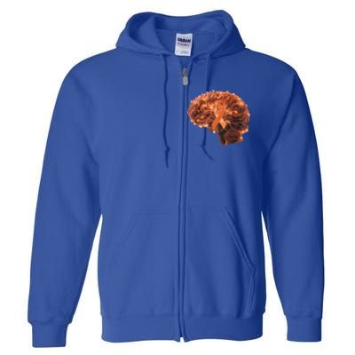 Brain Art Orange Ribbon Multiple Sclerosis Awareness Gift Full Zip Hoodie