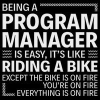 Being A Program Manager Is Easy Wool Snapback Cap