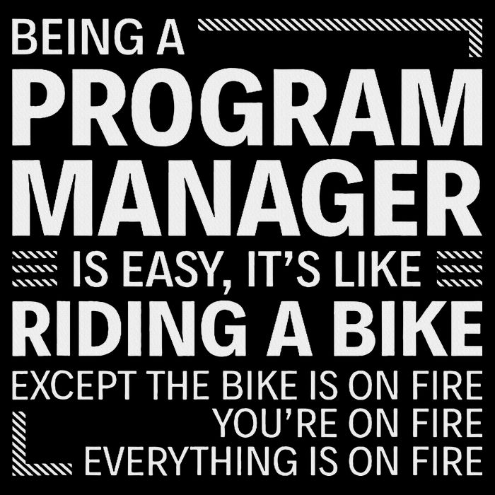 Being A Program Manager Is Easy Wool Snapback Cap