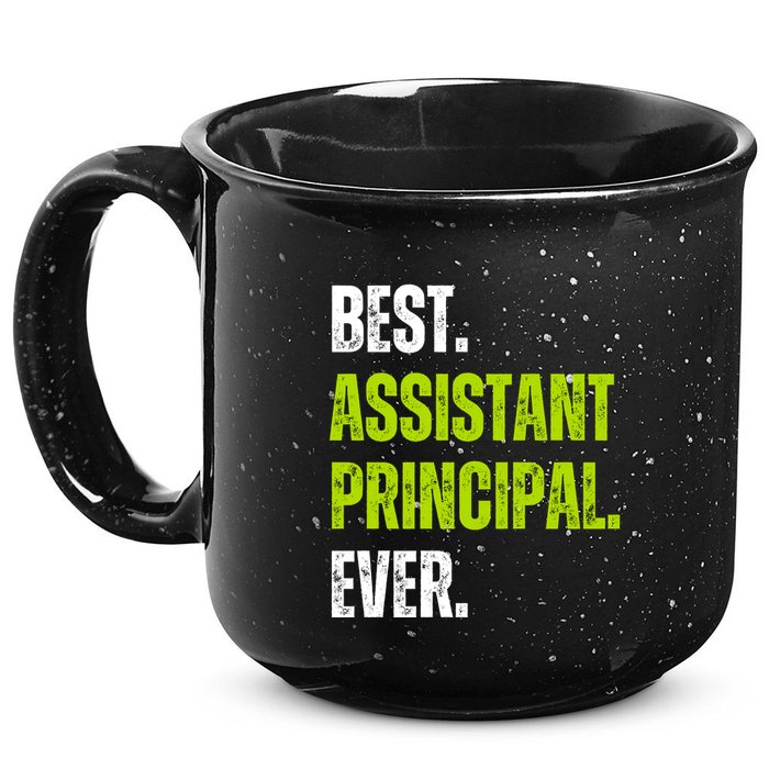Best Assistant Principal Ever Funny 15oz Campfire Ceramic Mug