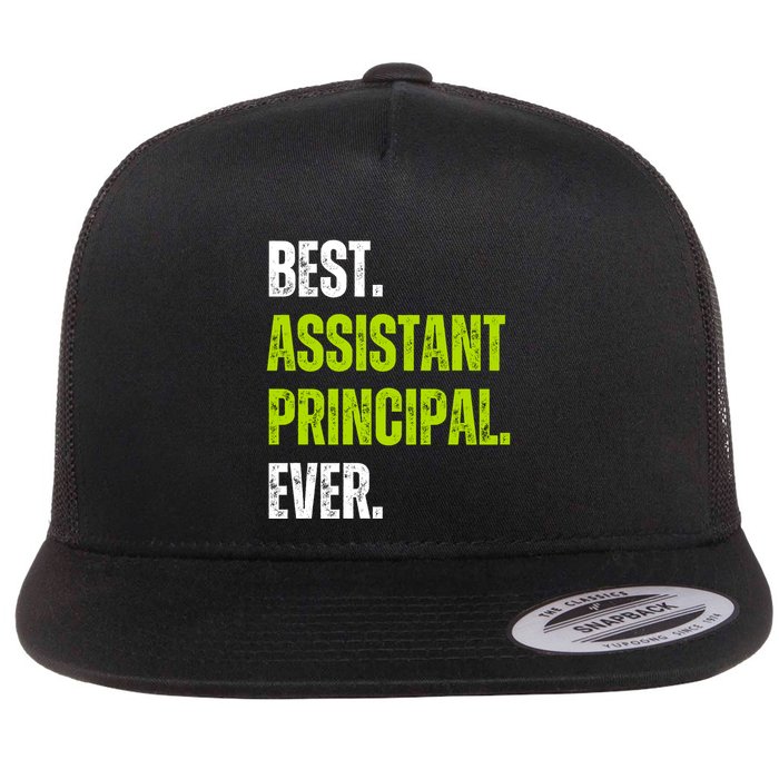 Best Assistant Principal Ever Funny Flatbill Hat