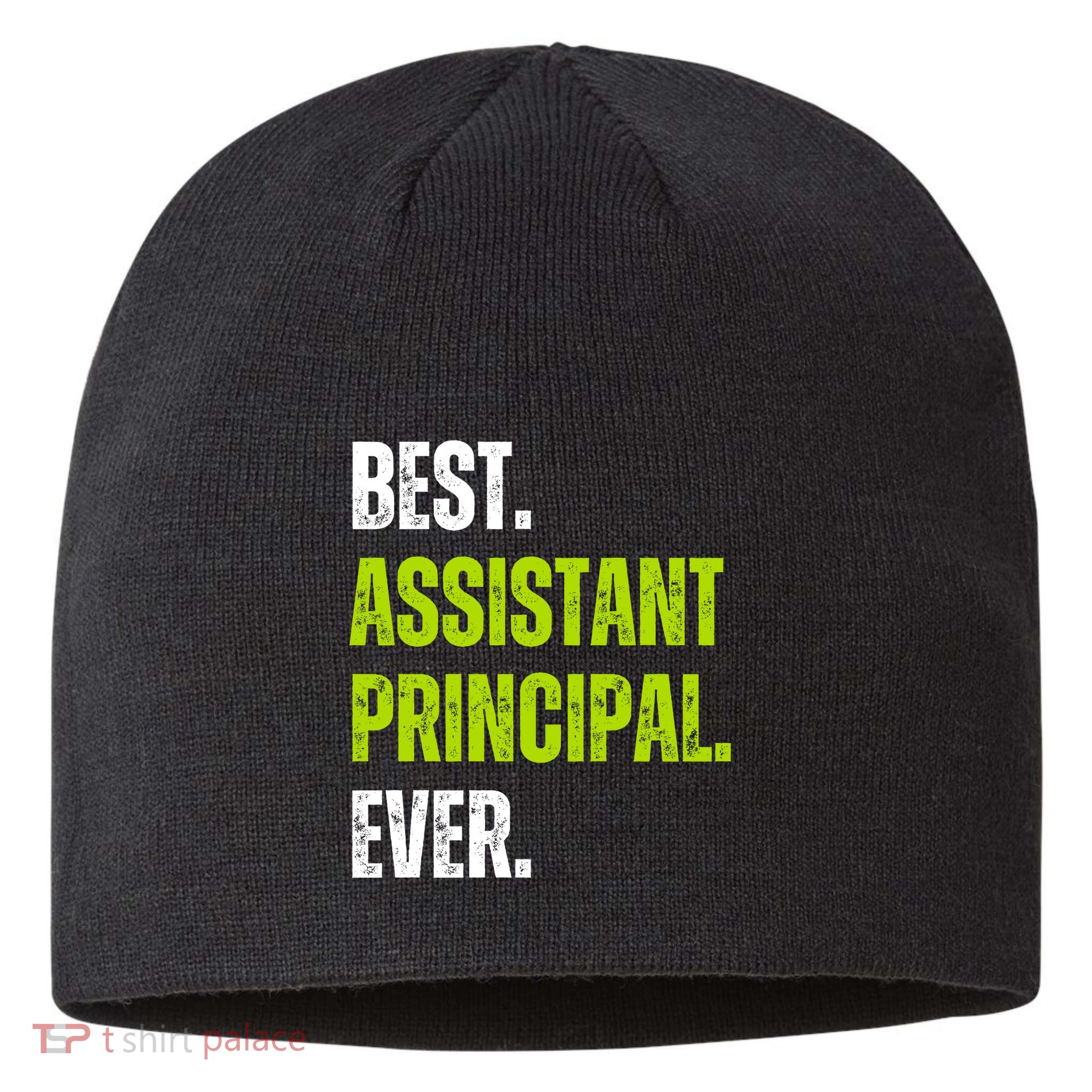 Best Assistant Principal Ever Funny Sustainable Beanie