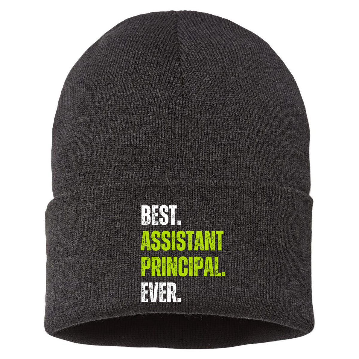 Best Assistant Principal Ever Funny Sustainable Knit Beanie