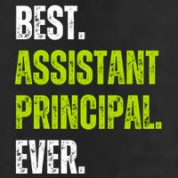 Best Assistant Principal Ever Funny 25L Jumbo Tote